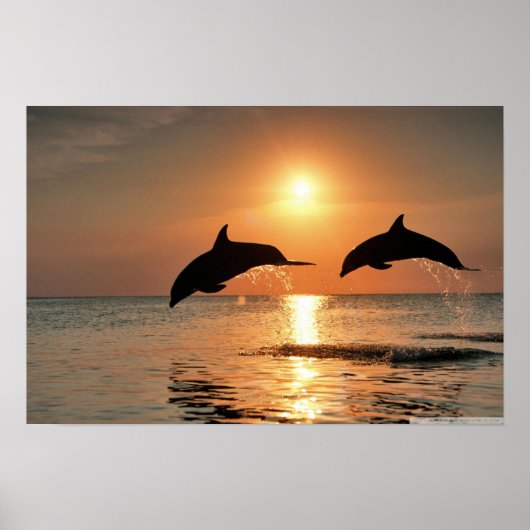 Happy Morning Wall Poster (Vorne)