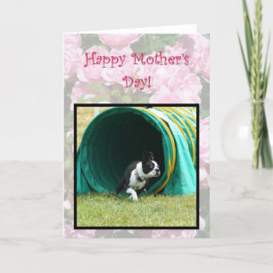 Happy Mother Day Agility Boston Terrier Card Karte
