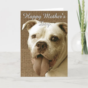 Happy Mother Day American Bulldog Grußkarte Karte