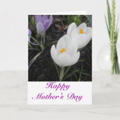 Happy Mother Day (From Family) Card Karte (Vorderseite)