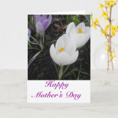 Happy Mother Day (From Family) Card Karte (Gelbe Blume)