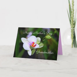 Happy Mother Day Grandother Phalaenopsis Orchid Karte