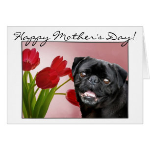 Happy Mother Day Mops Grußkarte
