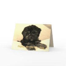 Happy Mother Day Niedlich Baby Dog