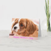Happy Mother Day Welppy CKCS Card Karte (Vorderseite)