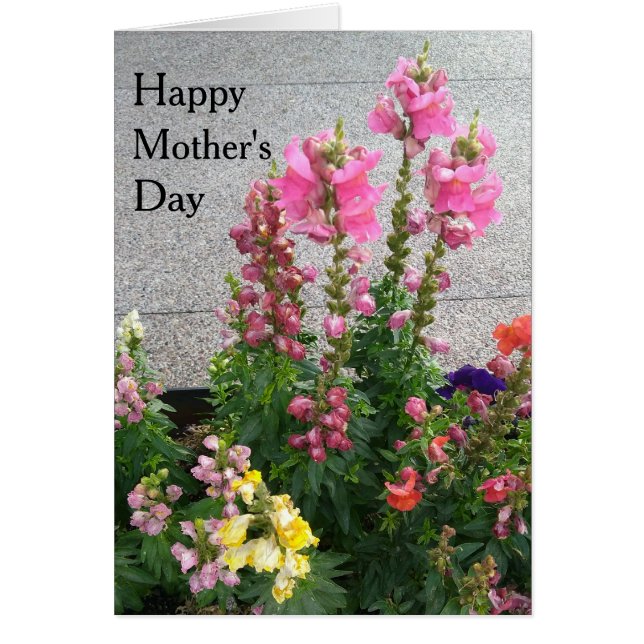 Happy Mother's Day (Vorne)