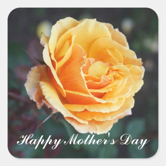 Happy Mother's Day About Face Rose #3 Stickers (Vorderseite)