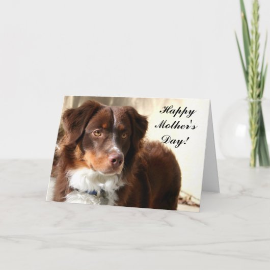 Happy Mother's Day Aussie Grußkarte Karte (Vorderseite)