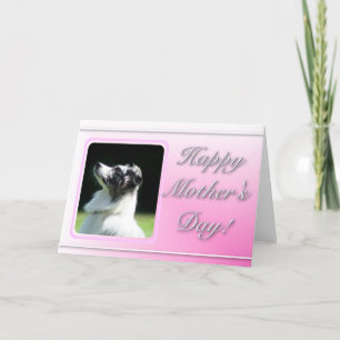 Happy Mother's Day Australian Shepherd card Karte