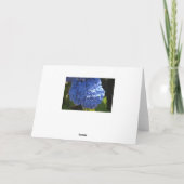 Happy Mother's Day Blue Hibiskus Card Karte (Rückseite)