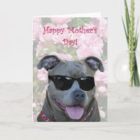 Happy Mother's Day Blue Pillen mit Brille