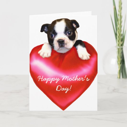 Happy Mother's Day Boston Terrier Card Karte (Vorderseite)