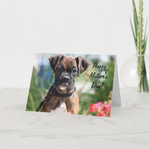 Happy Mother's day boxer greeting card Karte
