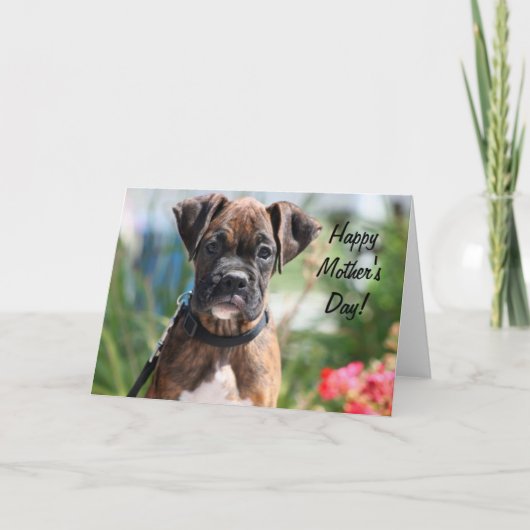Happy Mother's day boxer greeting card Karte (Vorderseite)