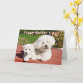 Happy Mother's Day Card Karte (Gelbe Blume)