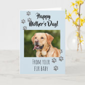 Happy Mother's day Foto Dog Cat Pet Fur Baby Karte (Gelbe Blume)