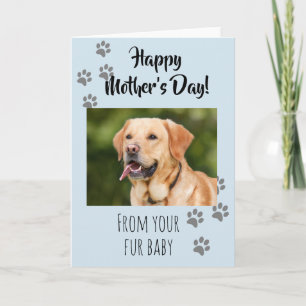 Happy Mother's day Foto Dog Cat Pet Fur Baby Karte