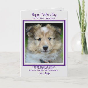 Happy Mother's Day - Funny Niedlich Hund Mama - Fo Dankeskarte