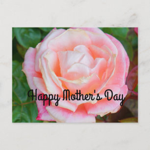 Happy Mother's Day Gemini Rose #1 Postkarte