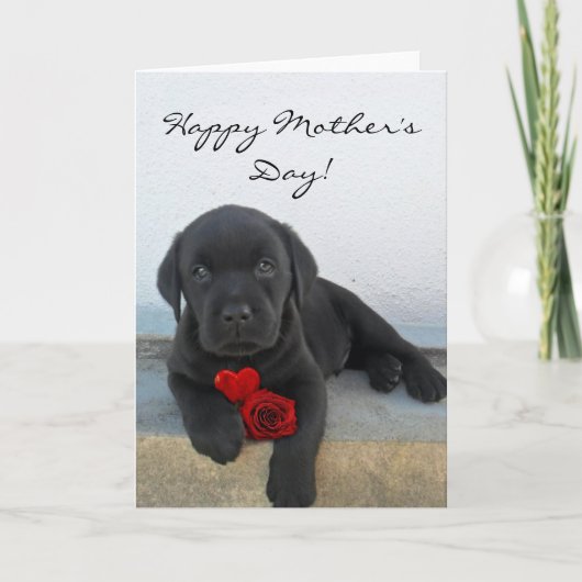 Happy Mother's Day Labrador Welpenkarte Karte (Vorderseite)