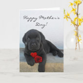 Happy Mother's Day Labrador Welpenkarte Karte (Gelbe Blume)