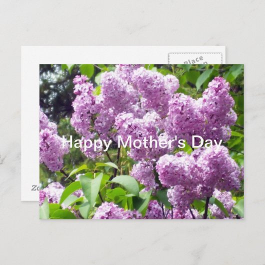 Happy Mother's Day-Lilac Bush Postkarte (Vorne/Hinten)