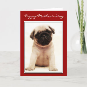 Happy Mother's Day Mops Welpengrüßkarte Karte