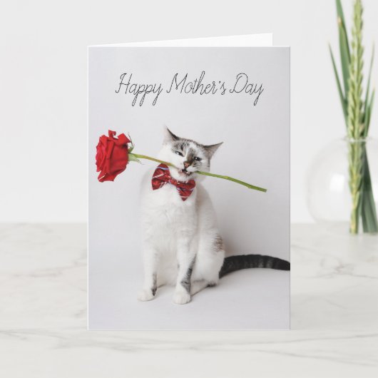 Happy Mother's Day niedliche Katze mit gelben Blum Dankeskarte (Vorderseite)