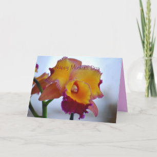 Happy Mother's Day Orange, Violet Cattleya Orchid Karte