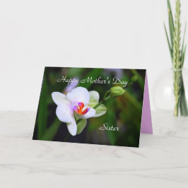 Happy Mother's Day Sister Phalaenopsis Orchid Card Karte