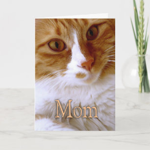 Happy Mother's Day - Sweet Cat Karte
