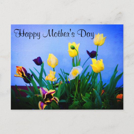 Happy Mother's Day Verschiedene Tulpen #2 Postkart Postkarte (Vorderseite)