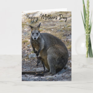 Happy Mother's Day Wallaby Baby Joey Karte