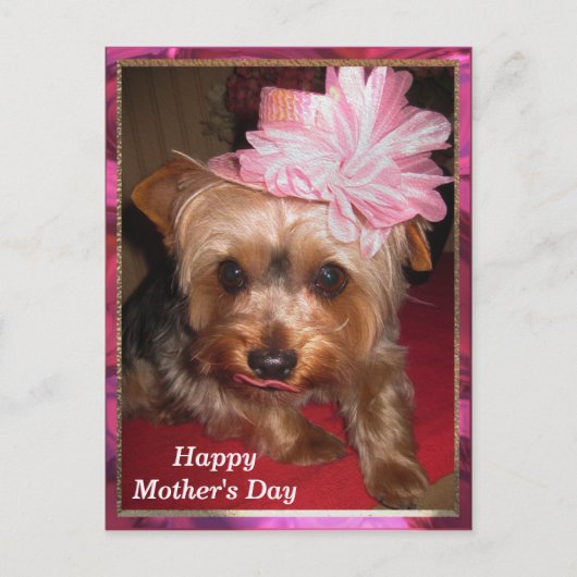 Happy Mother's Day Yorkie Postkarte (Vorderseite)