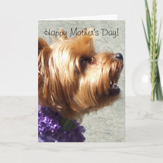 Happy Mother's Day Yorkshire Terrier Greeting Card Karte (Vorderseite)