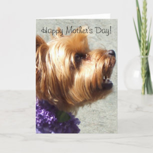 Happy Mother's Day Yorkshire Terrier Greeting Card Karte
