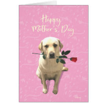 Happy Mthers Day, Labrador Hund Rose, Adorable