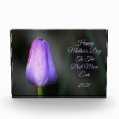 Happy Mthers Day Lila Tulip Fotoblock (Vorderseite)