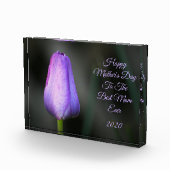 Happy Mthers Day Lila Tulip Fotoblock (Rechts)