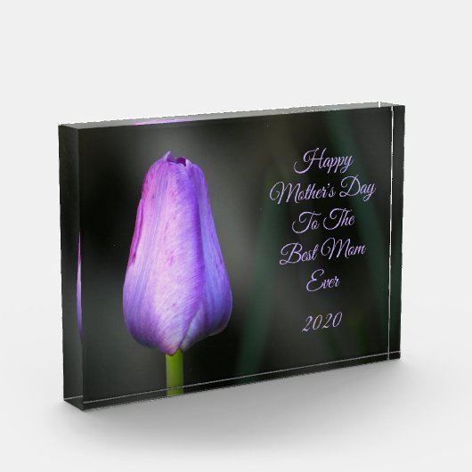 Happy Mthers Day Lila Tulip Fotoblock (Links)