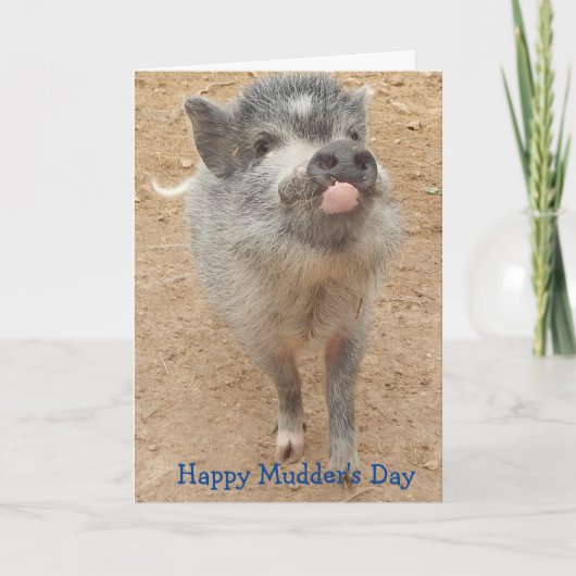 Happy Mudder's Day, Mini Pig Card Karte (Vorderseite)