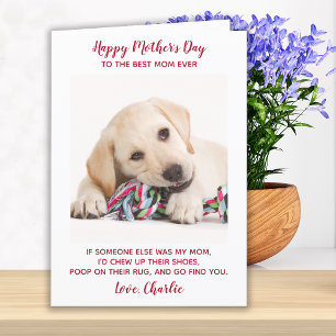Happy Mütter Tag Beste Mama je Hund Foto Feiertagskarte