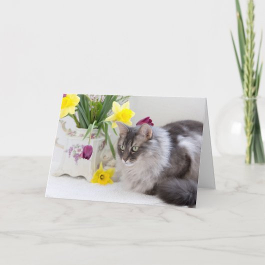 Happy National Siblings Day! Karte (Vorderseite)