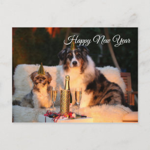Happy New Year lustige Hunde mit Party Hut Postkarte