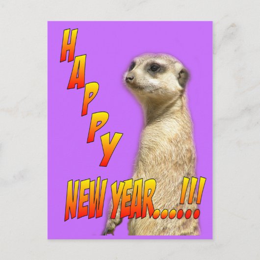 Happy New Year Meerkat Postcard Feiertagspostkarte (Vorderseite)