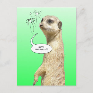Happy New Year Meerkat Postcard Feuerwerk Grün Feiertagspostkarte