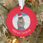 Happy Niedlich Merry Christmas Quokka Beach Austra Ornament<br><div class="desc">Weihnachten wird in Australien wie im Sommer am Strand gefeiert. Und Ihre Weihnachten können nicht besser, glücklicher und niedlicher werden als mit diesem Quokka - dem glücklichsten Tier der Welt. Mit diesem einzigartigen Ornament dekorieren und erhellen Sie Ihren Baum. In dieser festlichen Saison wird es jedem ein Lächeln auf die...</div>