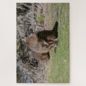Happy & Niedlich Quokkas Rottnest Island, 1014 Stü Puzzle (Vertikal)