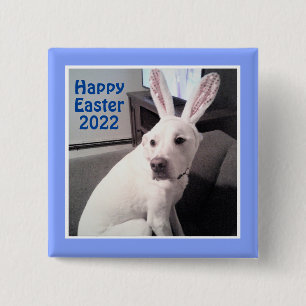 Happy Niedlicher Hund mit Ostersonnigen Ohren blau Button