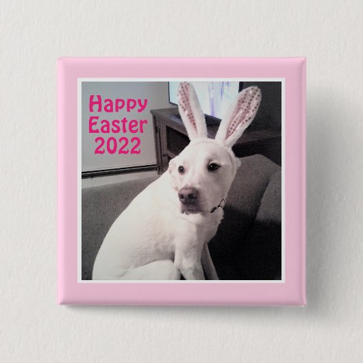Happy Niedlicher Hund mit Ostersonnigen Ohren rosa Button (Vorderseite)